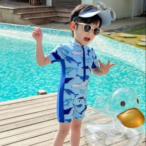 SHEIN 1pc Young Boys Vacation Cute Cartoon Print Colorblock Long Sleeve Rash Guard & Cap Set, Suitable For Beach, Pool, Spring Summer