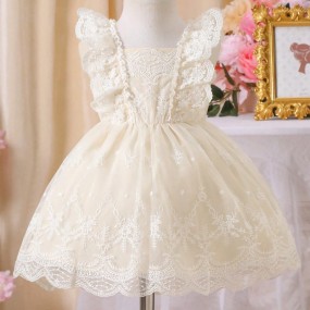 SHEIN Glamorique Kids Baby Girl Embroidered Ruffled Front Crew Neck Cute Mini Dress